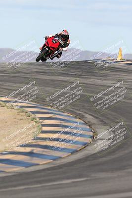 media/Nov-16-2025-Race Pace (Sun) [[8c5fa54630]]/Verified Riders/1-Turns 9 and 10 (925am)/